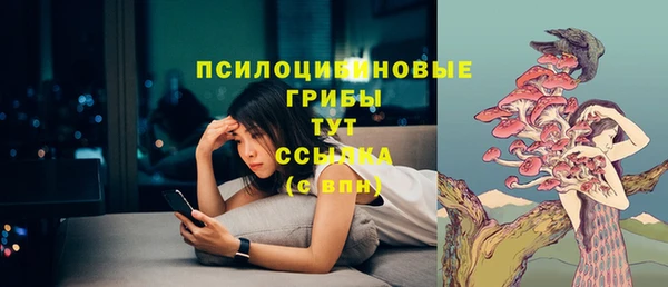 стаф Алзамай